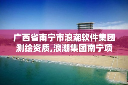 廣西省南寧市浪潮軟件集團測繪資質,浪潮集團南寧項目