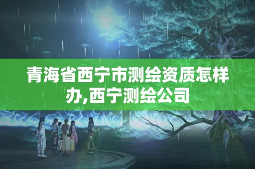 青海省西寧市測繪資質怎樣辦,西寧測繪公司