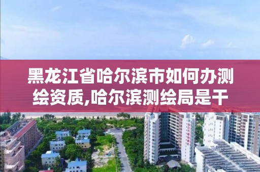 黑龍江省哈爾濱市如何辦測繪資質,哈爾濱測繪局是干什么的