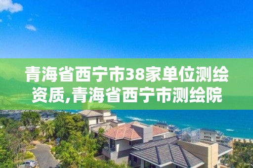 青海省西寧市38家單位測繪資質,青海省西寧市測繪院