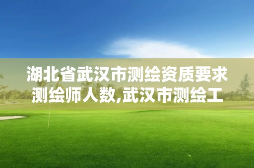 湖北省武漢市測繪資質要求測繪師人數,武漢市測繪工程技術規定