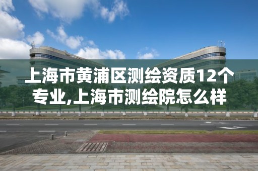 上海市黃浦區測繪資質12個專業,上海市測繪院怎么樣