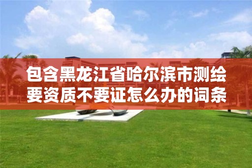 包含黑龍江省哈爾濱市測繪要資質不要證怎么辦的詞條