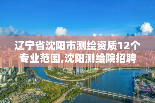 遼寧省沈陽市測繪資質12個專業范圍,沈陽測繪院招聘