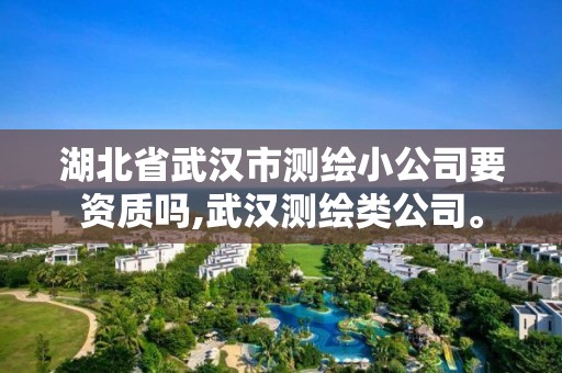 湖北省武漢市測(cè)繪小公司要資質(zhì)嗎,武漢測(cè)繪類公司。