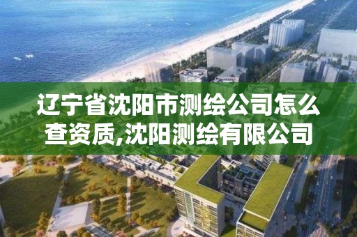 遼寧省沈陽市測繪公司怎么查資質,沈陽測繪有限公司