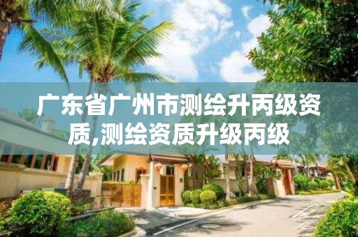 廣東省廣州市測繪升丙級資質,測繪資質升級丙級