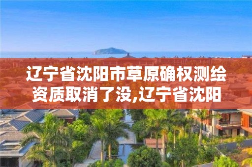 遼寧省沈陽市草原確權測繪資質取消了沒,遼寧省沈陽市草原確權測繪資質取消了沒。