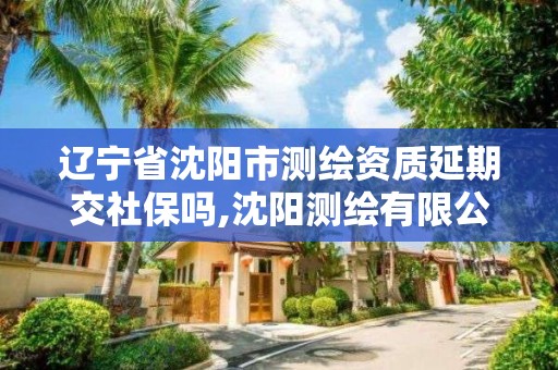 遼寧省沈陽市測繪資質延期交社保嗎,沈陽測繪有限公司