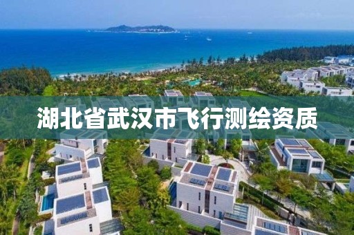 湖北省武漢市飛行測繪資質