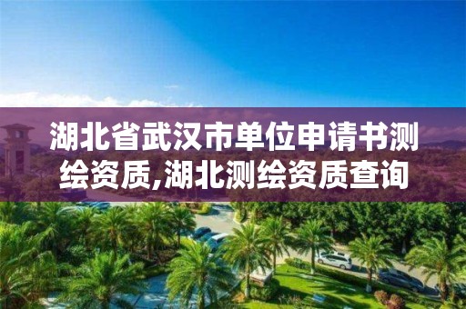 湖北省武漢市單位申請書測繪資質,湖北測繪資質查詢