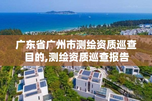 廣東省廣州市測繪資質(zhì)巡查目的,測繪資質(zhì)巡查報告