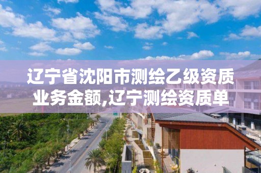 遼寧省沈陽市測繪乙級資質(zhì)業(yè)務(wù)金額,遼寧測繪資質(zhì)單位