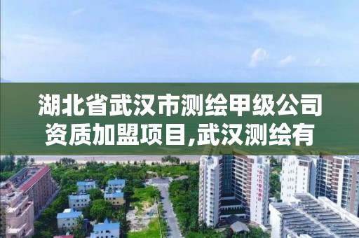 湖北省武漢市測繪甲級公司資質加盟項目,武漢測繪有限公司