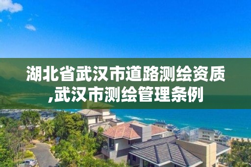 湖北省武漢市道路測(cè)繪資質(zhì),武漢市測(cè)繪管理?xiàng)l例