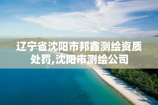 遼寧省沈陽市邦鑫測繪資質處罰,沈陽市測繪公司