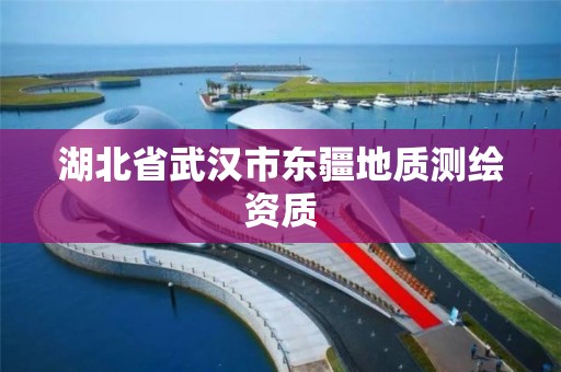 湖北省武漢市東疆地質(zhì)測繪資質(zhì)