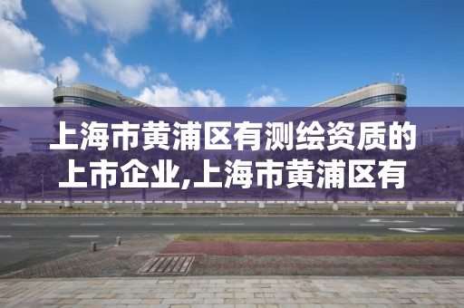 上海市黃浦區有測繪資質的上市企業,上海市黃浦區有測繪資質的上市企業有哪些。