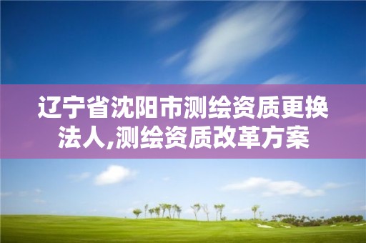 遼寧省沈陽市測繪資質更換法人,測繪資質改革方案