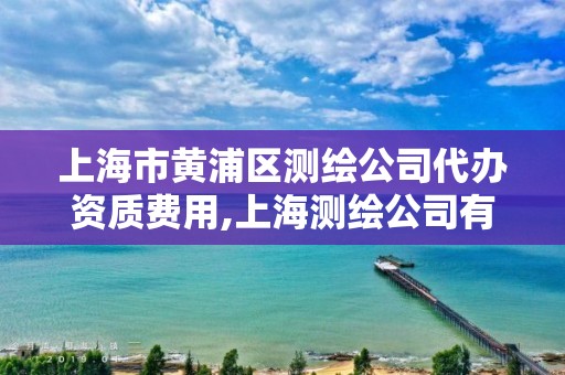 上海市黃浦區測繪公司代辦資質費用,上海測繪公司有哪幾家