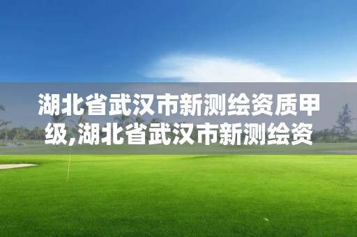 湖北省武漢市新測繪資質甲級,湖北省武漢市新測繪資質甲級公司名單