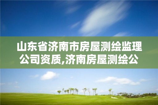 山東省濟南市房屋測繪監(jiān)理公司資質(zhì),濟南房屋測繪公司電話