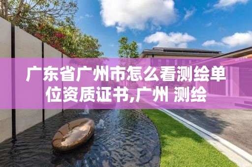 廣東省廣州市怎么看測繪單位資質(zhì)證書,廣州 測繪