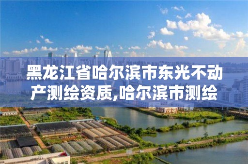 黑龍江省哈爾濱市東光不動產測繪資質,哈爾濱市測繪局家屬樓