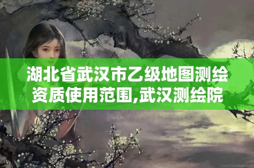 湖北省武漢市乙級地圖測繪資質使用范圍,武漢測繪院是什么級別。