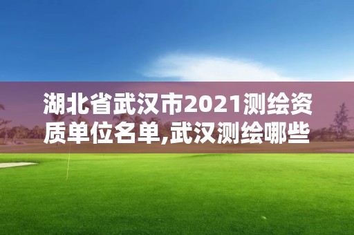 湖北省武漢市2021測繪資質(zhì)單位名單,武漢測繪哪些單位比較好。