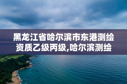 黑龍江省哈爾濱市東港測繪資質乙級丙級,哈爾濱測繪有限公司