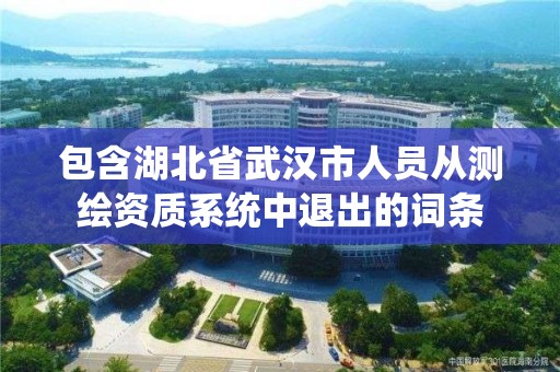 包含湖北省武漢市人員從測繪資質系統(tǒng)中退出的詞條