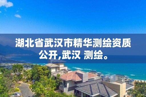 湖北省武漢市精華測繪資質公開,武漢 測繪。