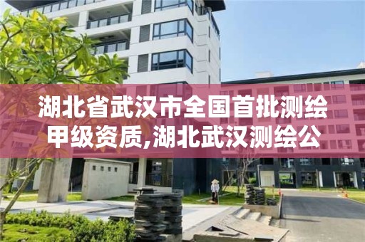 湖北省武漢市全國首批測繪甲級資質(zhì),湖北武漢測繪公司排行榜