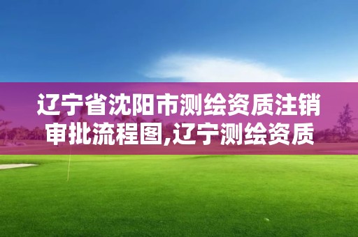 遼寧省沈陽市測繪資質(zhì)注銷審批流程圖,遼寧測繪資質(zhì)查詢。