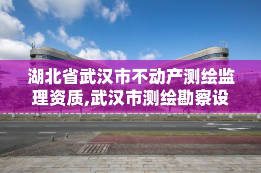 湖北省武漢市不動產測繪監理資質,武漢市測繪勘察設計甲級資質公司