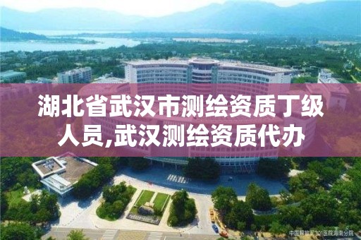 湖北省武漢市測繪資質丁級人員,武漢測繪資質代辦