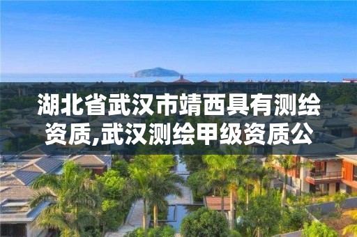 湖北省武漢市靖西具有測繪資質,武漢測繪甲級資質公司