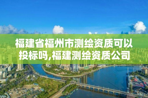 福建省福州市測繪資質可以投標嗎,福建測繪資質公司