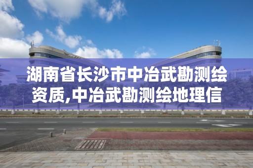 湖南省長沙市中冶武勘測繪資質,中冶武勘測繪地理信息公司