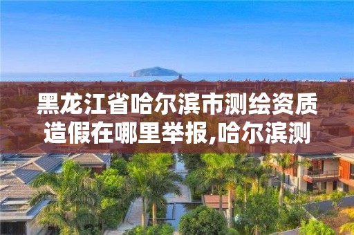 黑龍江省哈爾濱市測繪資質造假在哪里舉報,哈爾濱測繪局是干什么的。