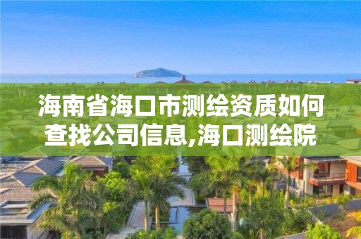 海南省海口市測繪資質如何查找公司信息,海口測繪院。