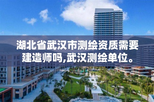 湖北省武漢市測繪資質需要建造師嗎,武漢測繪單位。