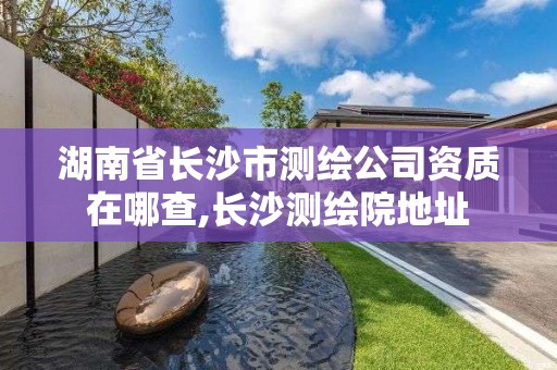 湖南省長(zhǎng)沙市測(cè)繪公司資質(zhì)在哪查,長(zhǎng)沙測(cè)繪院地址