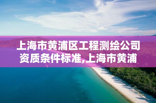 上海市黃浦區工程測繪公司資質條件標準,上海市黃浦區測繪中心