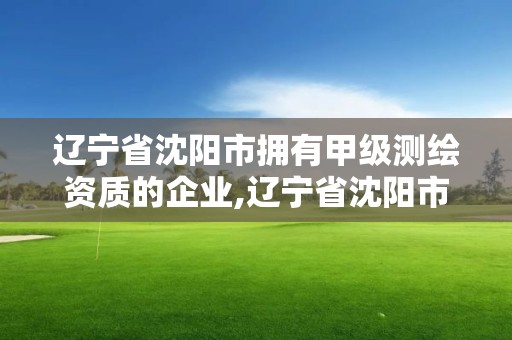 遼寧省沈陽市擁有甲級測繪資質的企業,遼寧省沈陽市擁有甲級測繪資質的企業有哪些。