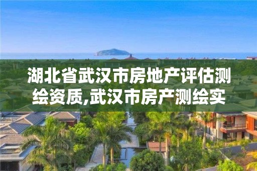 湖北省武漢市房地產評估測繪資質,武漢市房產測繪實施細則。