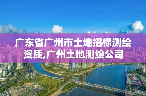 廣東省廣州市土地招標測繪資質,廣州土地測繪公司