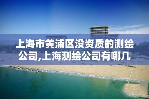 上海市黃浦區沒資質的測繪公司,上海測繪公司有哪幾家