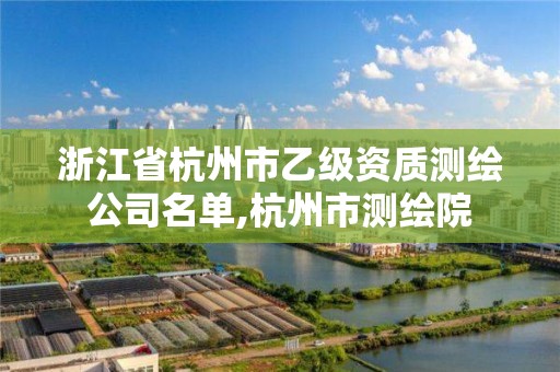 浙江省杭州市乙級資質測繪公司名單,杭州市測繪院